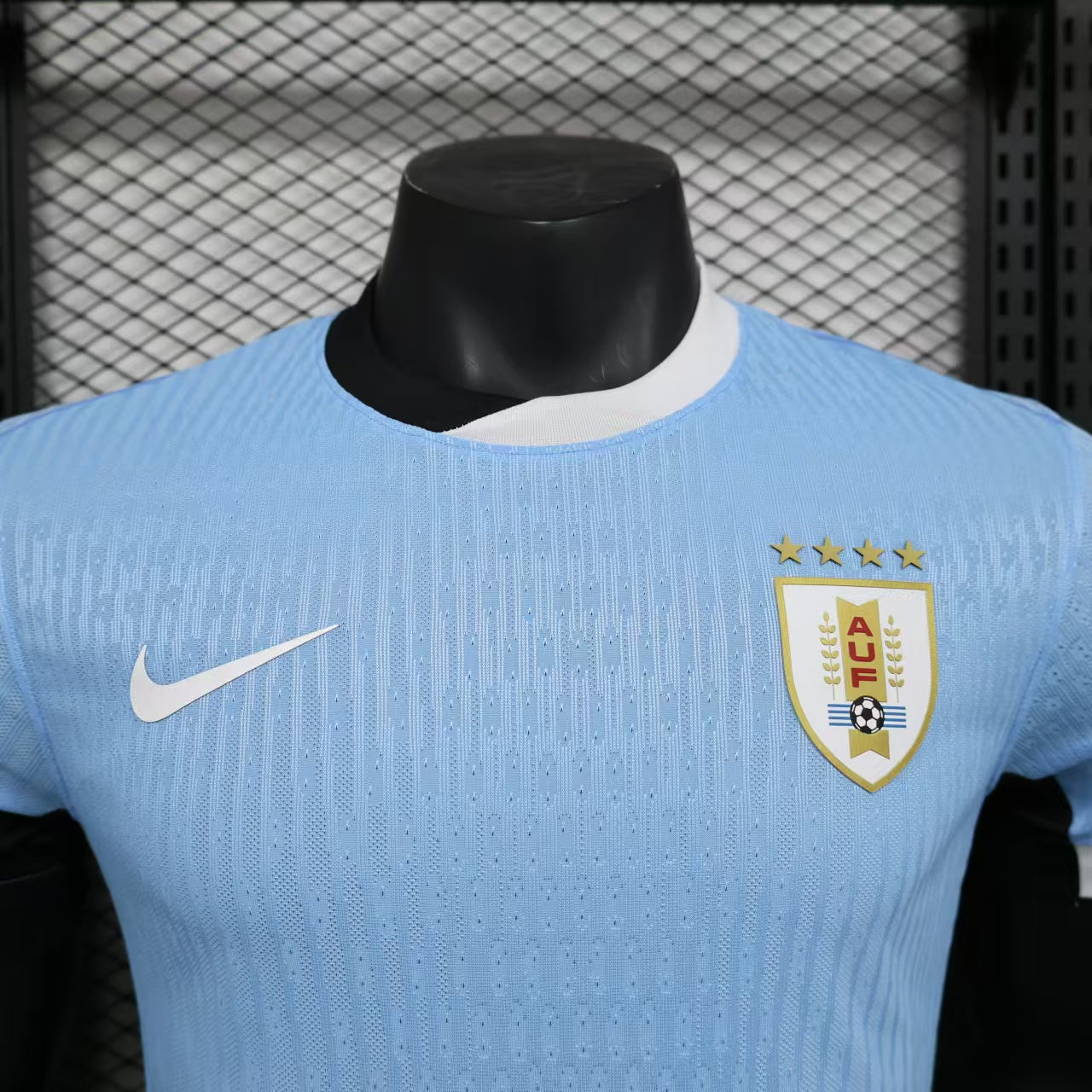 Uruguay 2024/2025