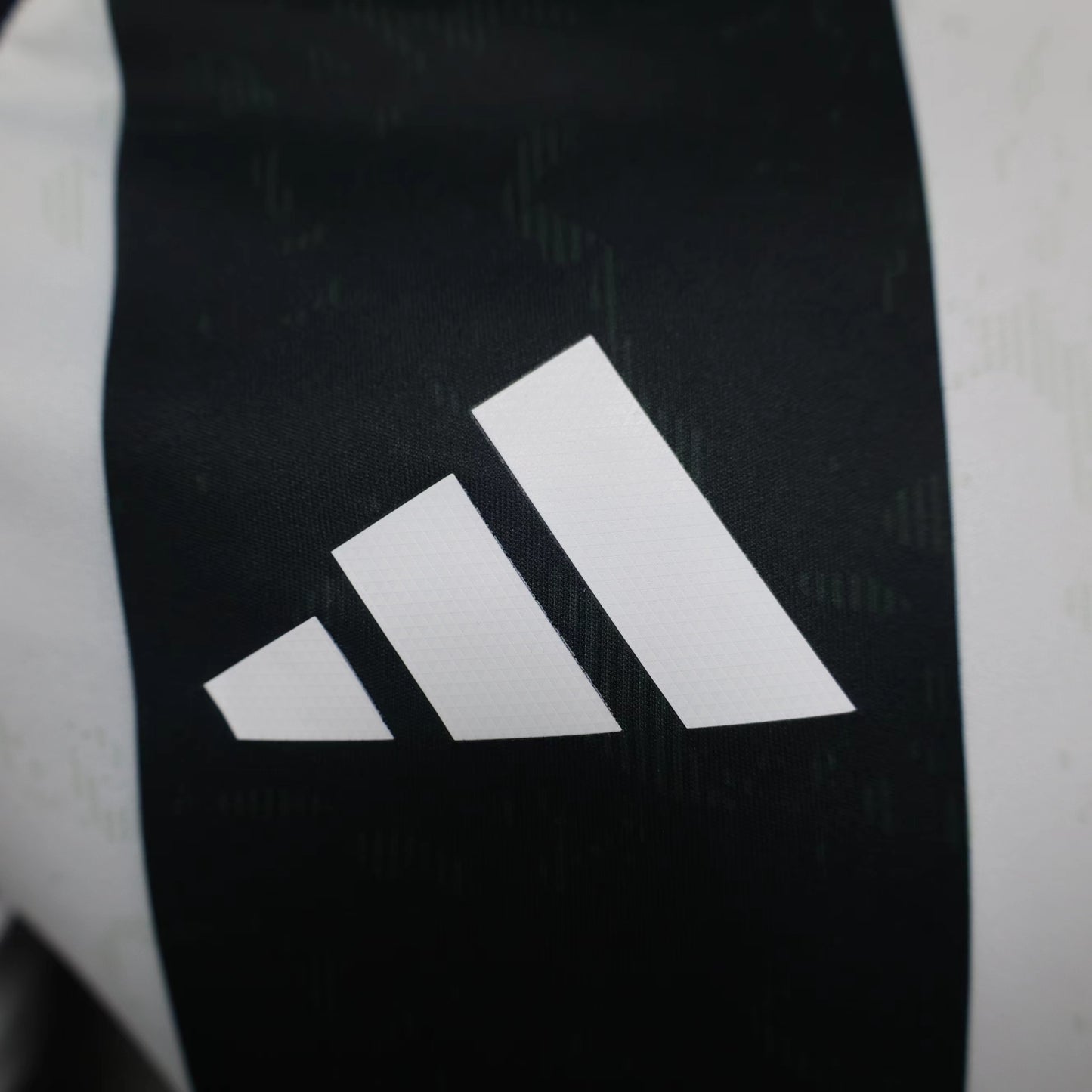 Juventus 2024/2025