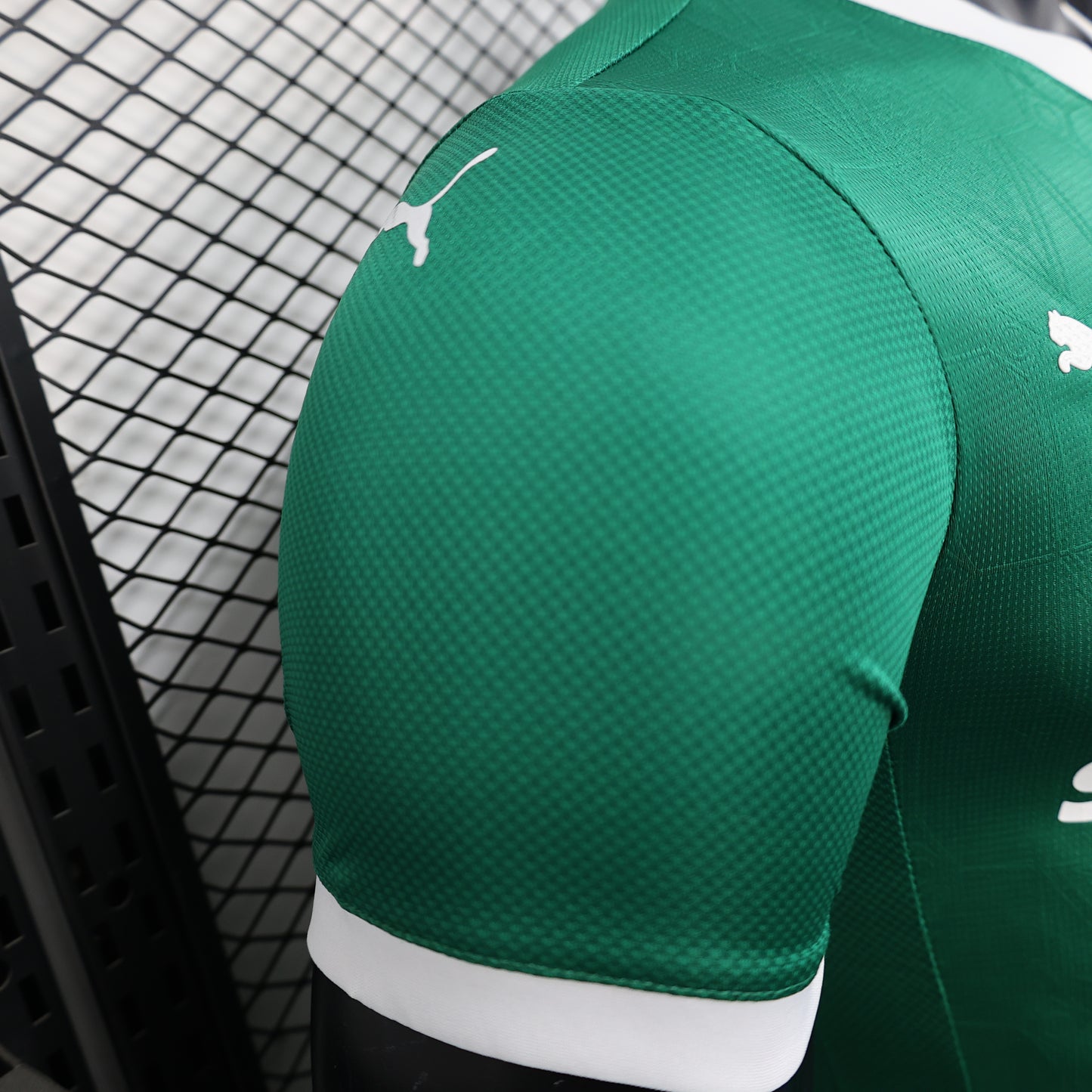 PALMEIRAS 2024/25