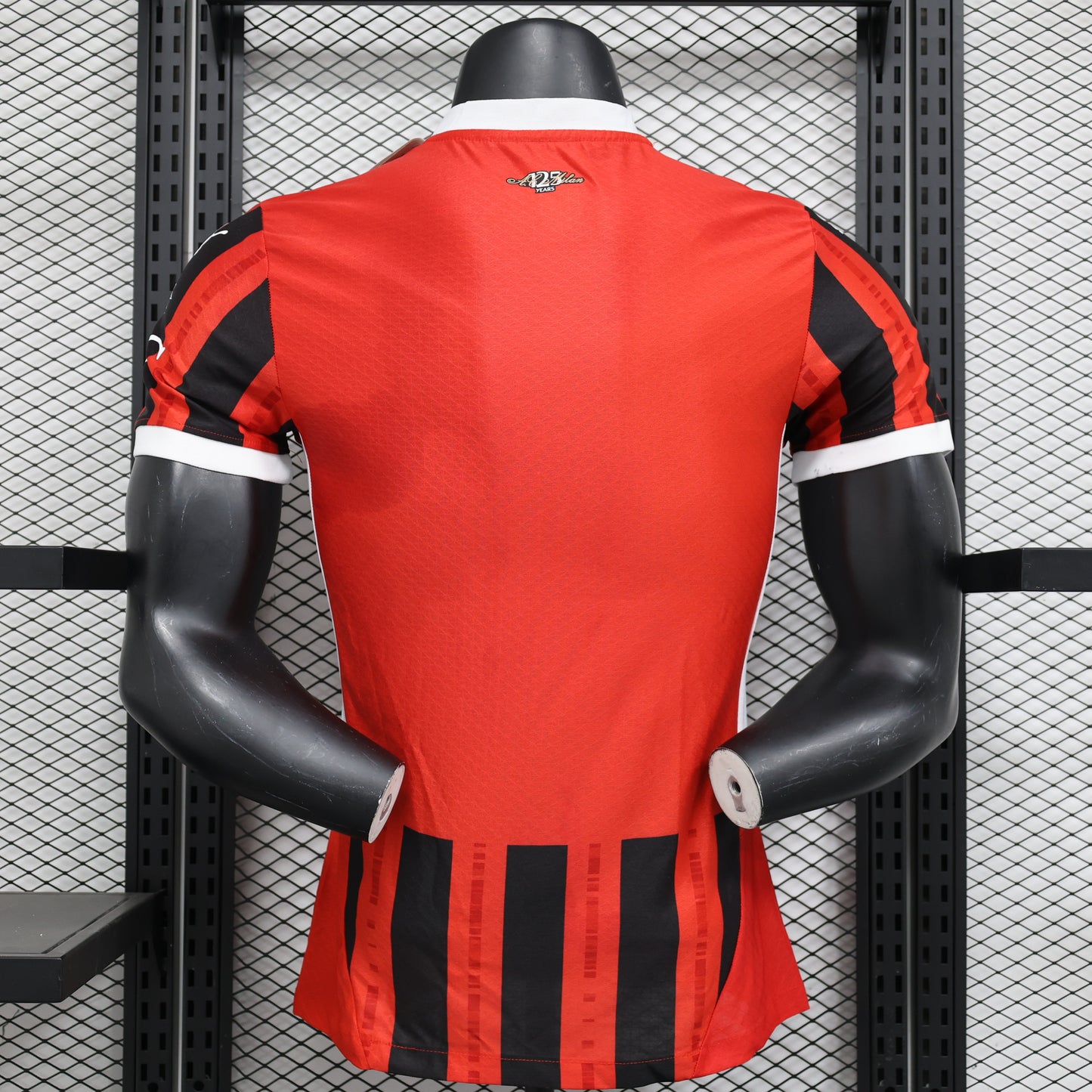 AC Milan 2024/2025