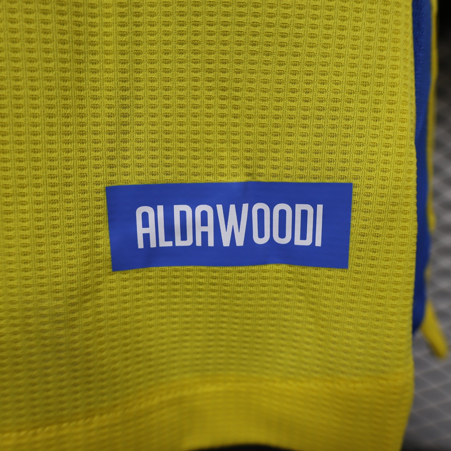 Al-Nassr FC 2024/2025