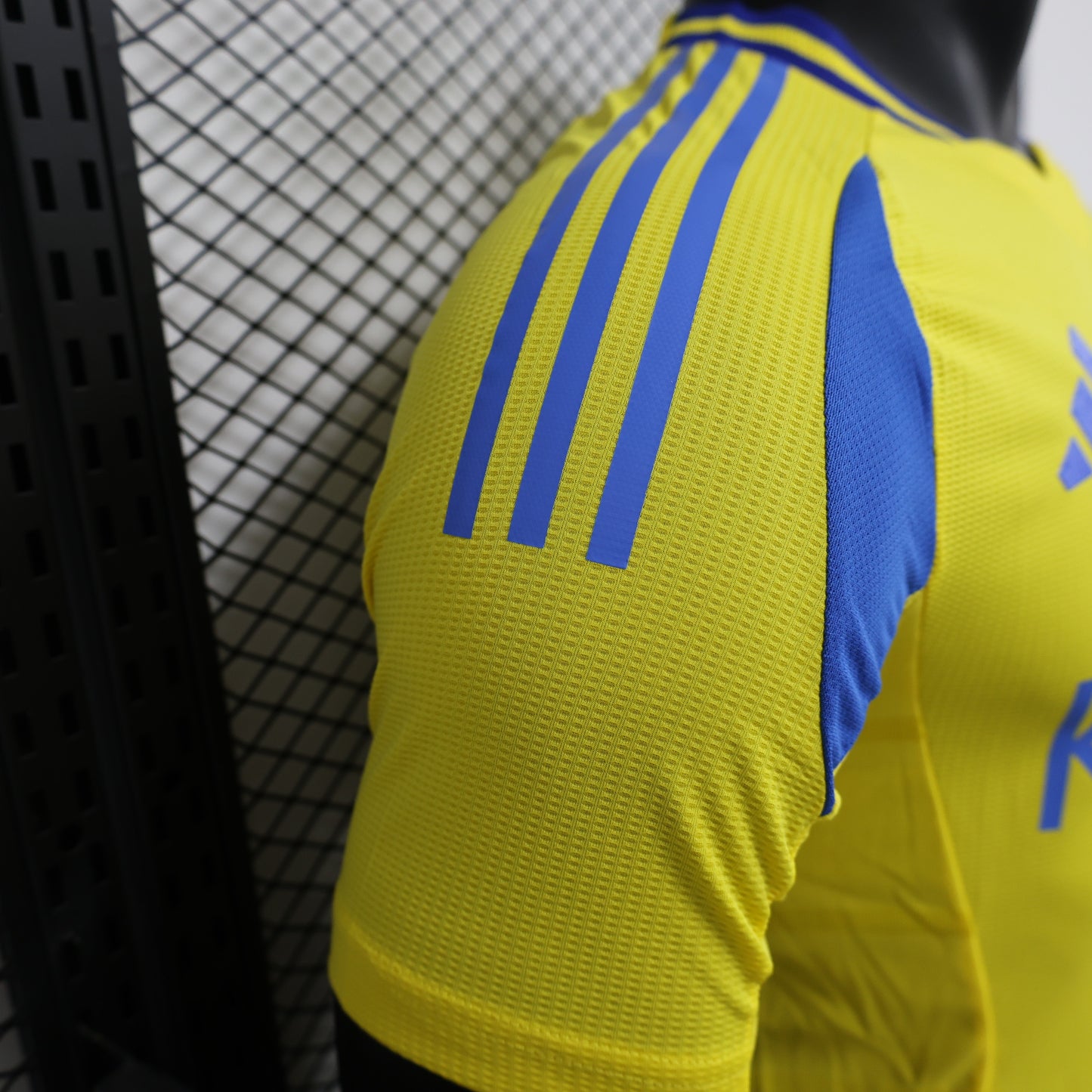 Al-Nassr FC 2024/2025