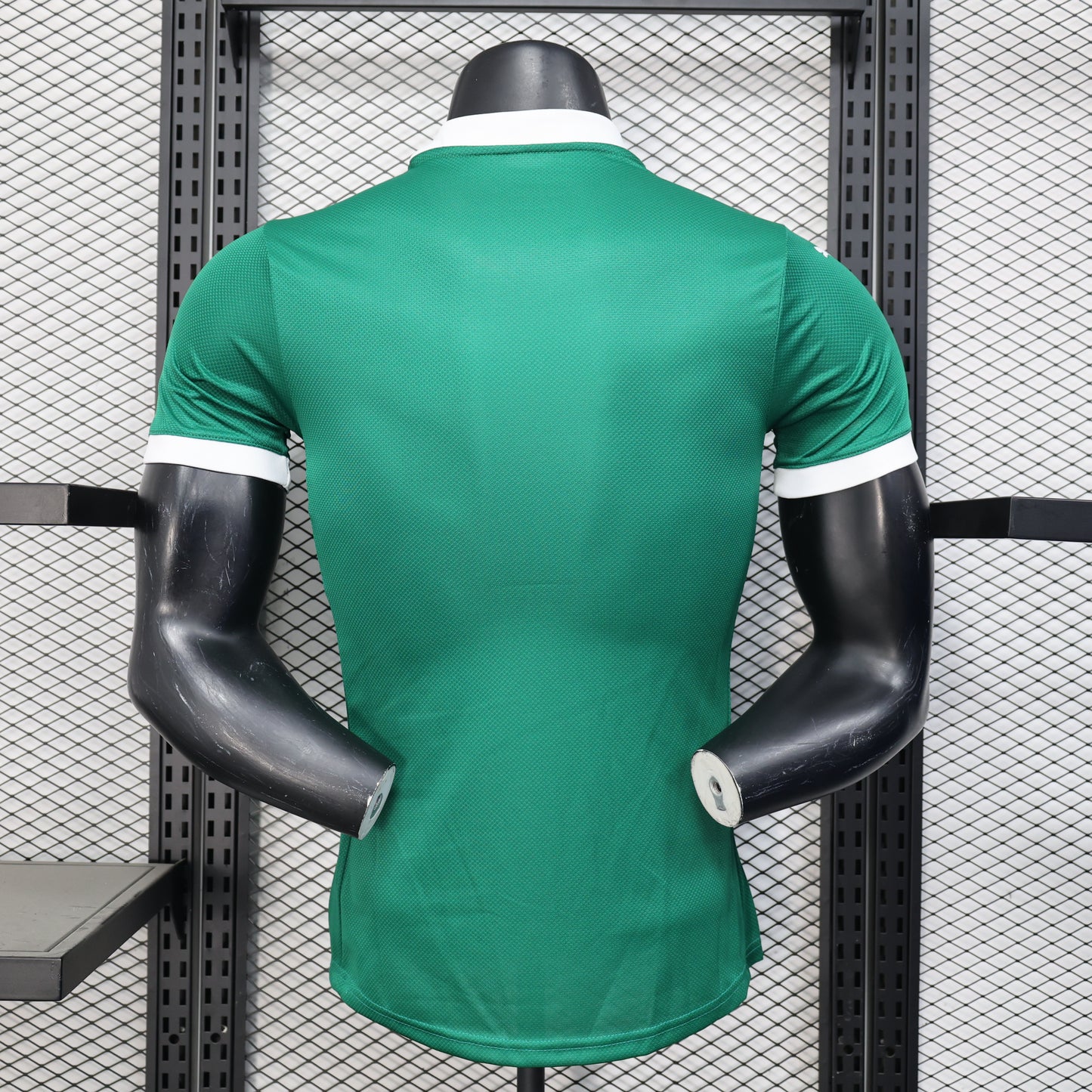 PALMEIRAS 2024/25