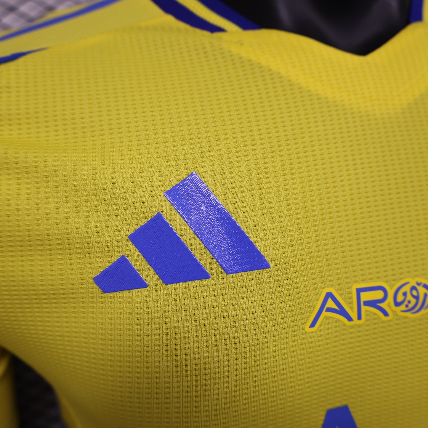 Al-Nassr FC 2024/2025