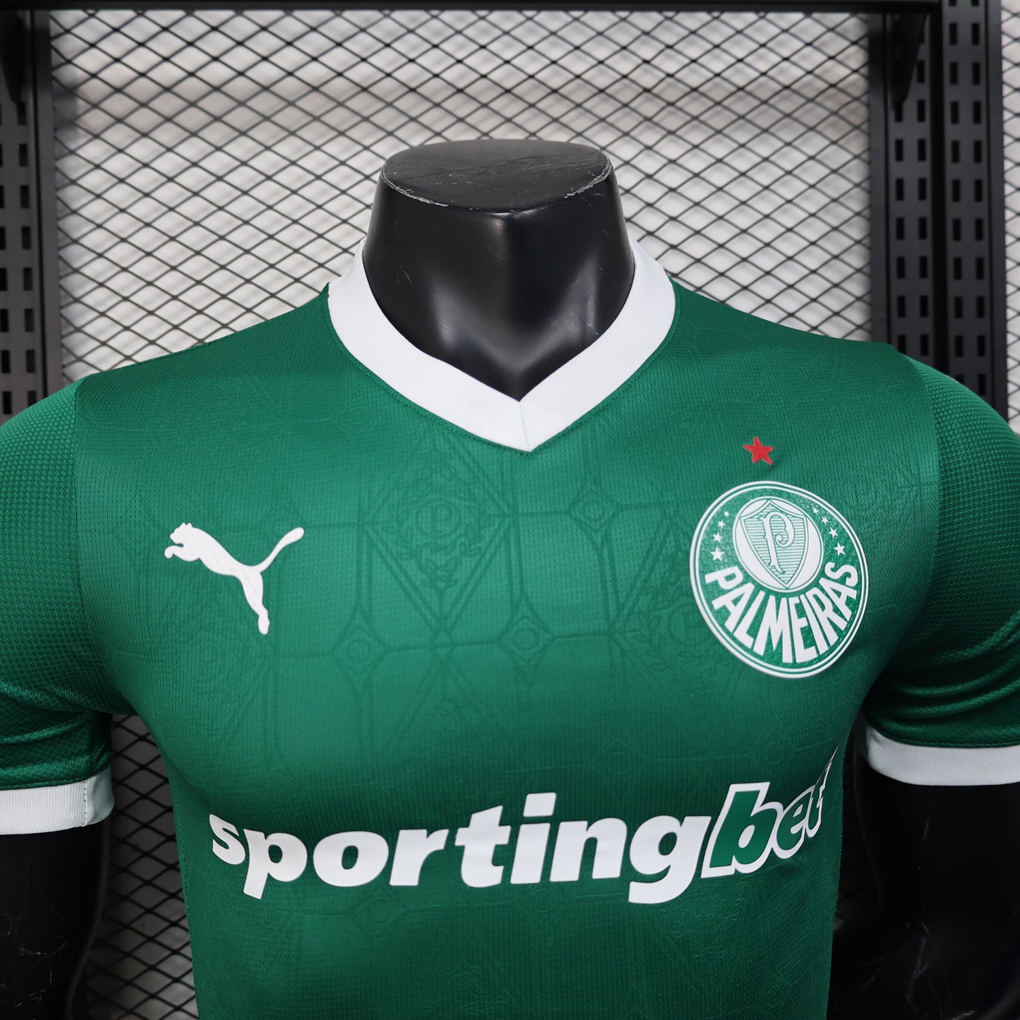PALMEIRAS 2024/25
