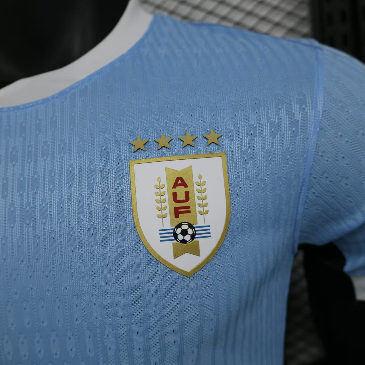 Uruguay 2024/2025