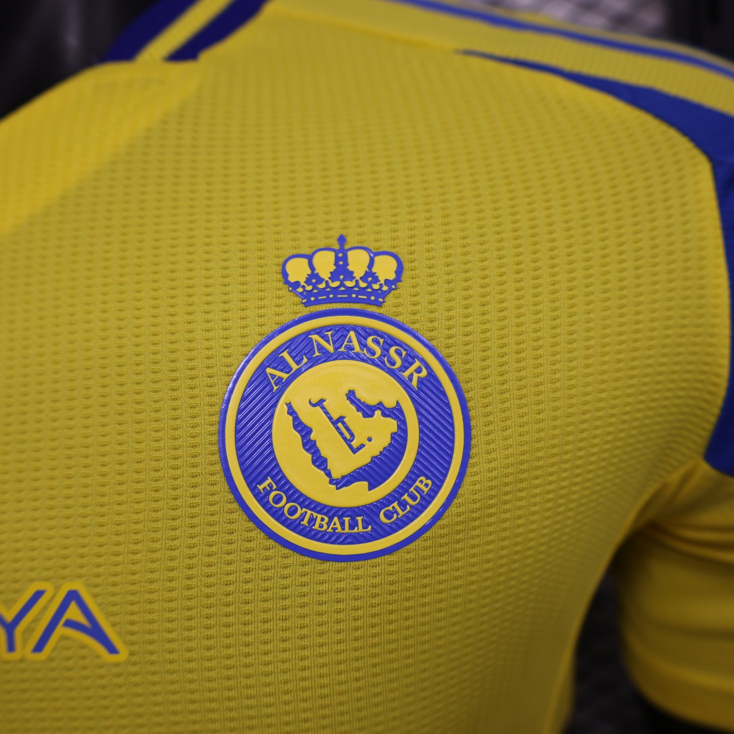 Al-Nassr FC 2024/2025