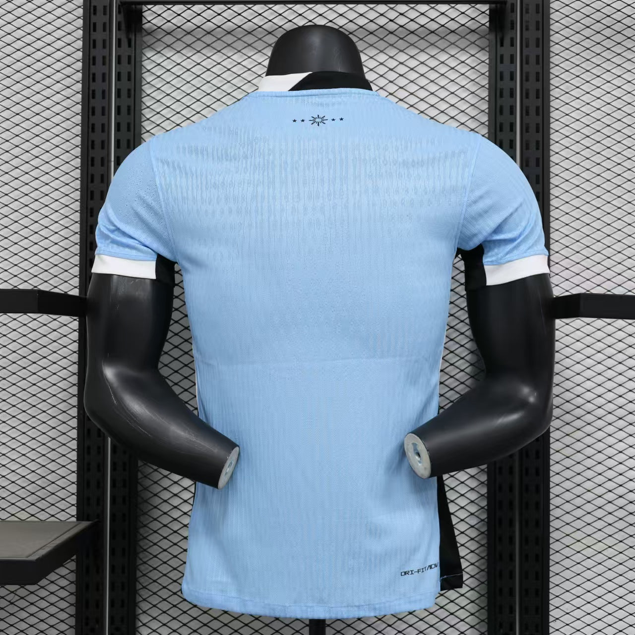 Uruguay 2024/2025