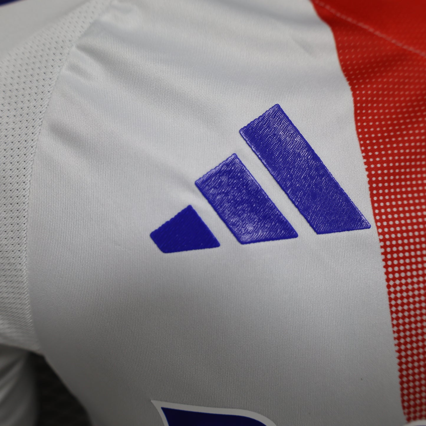 Olympique de Lyon 2024 - 2025 (Copia)