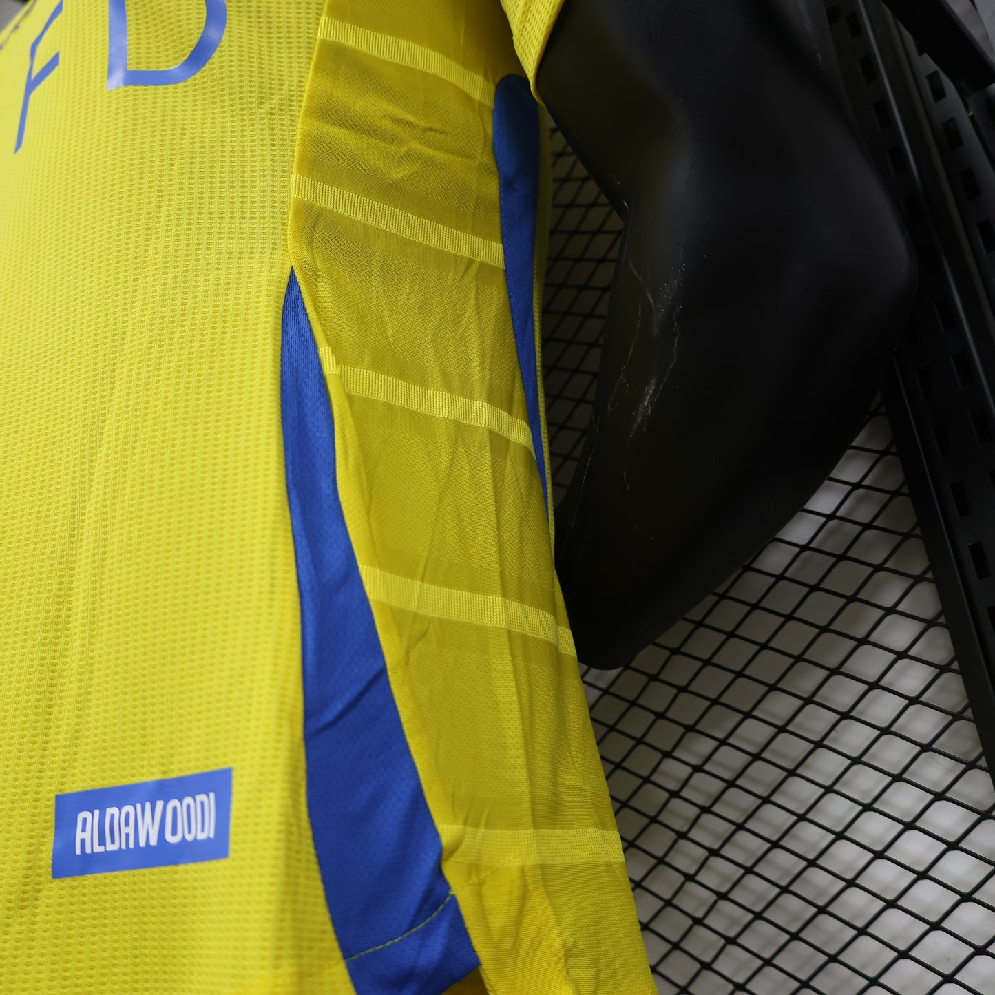 Al-Nassr FC 2024/2025