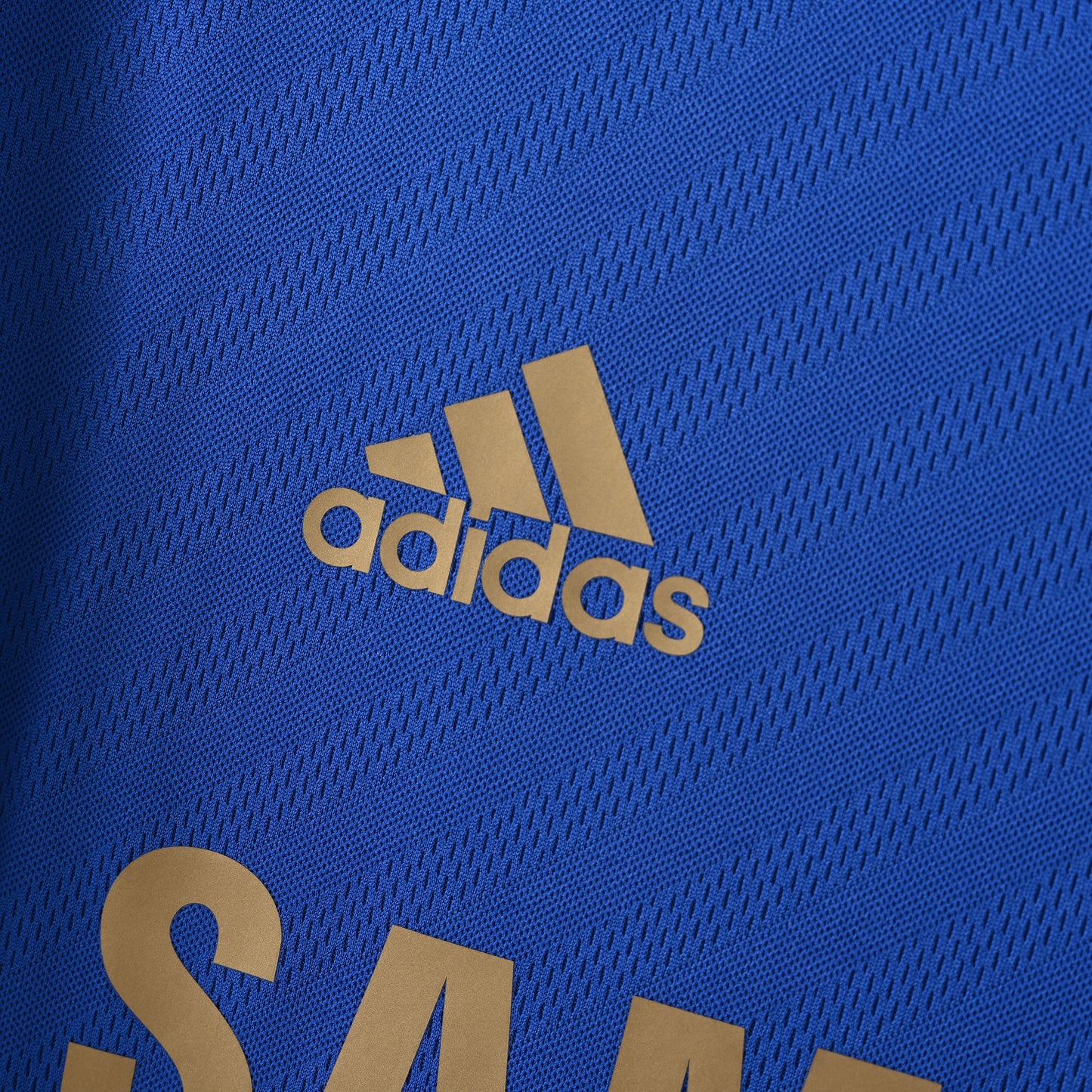 Chelsea FC de la temporada 2012-2013