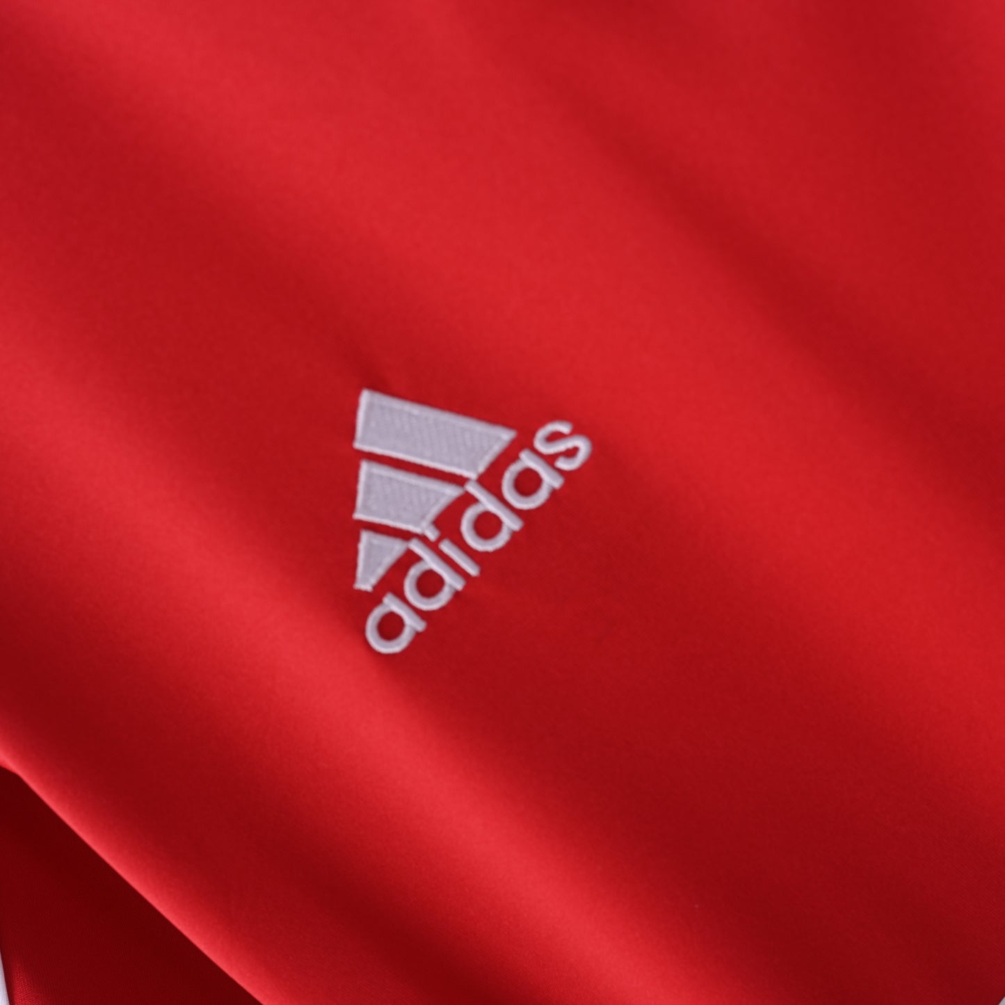 Bayern Múnich 2001-2002.