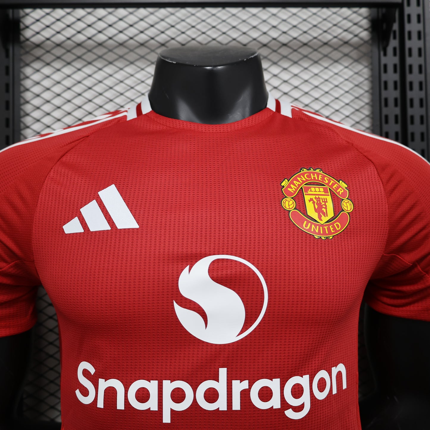 Manchester United 2024/2025