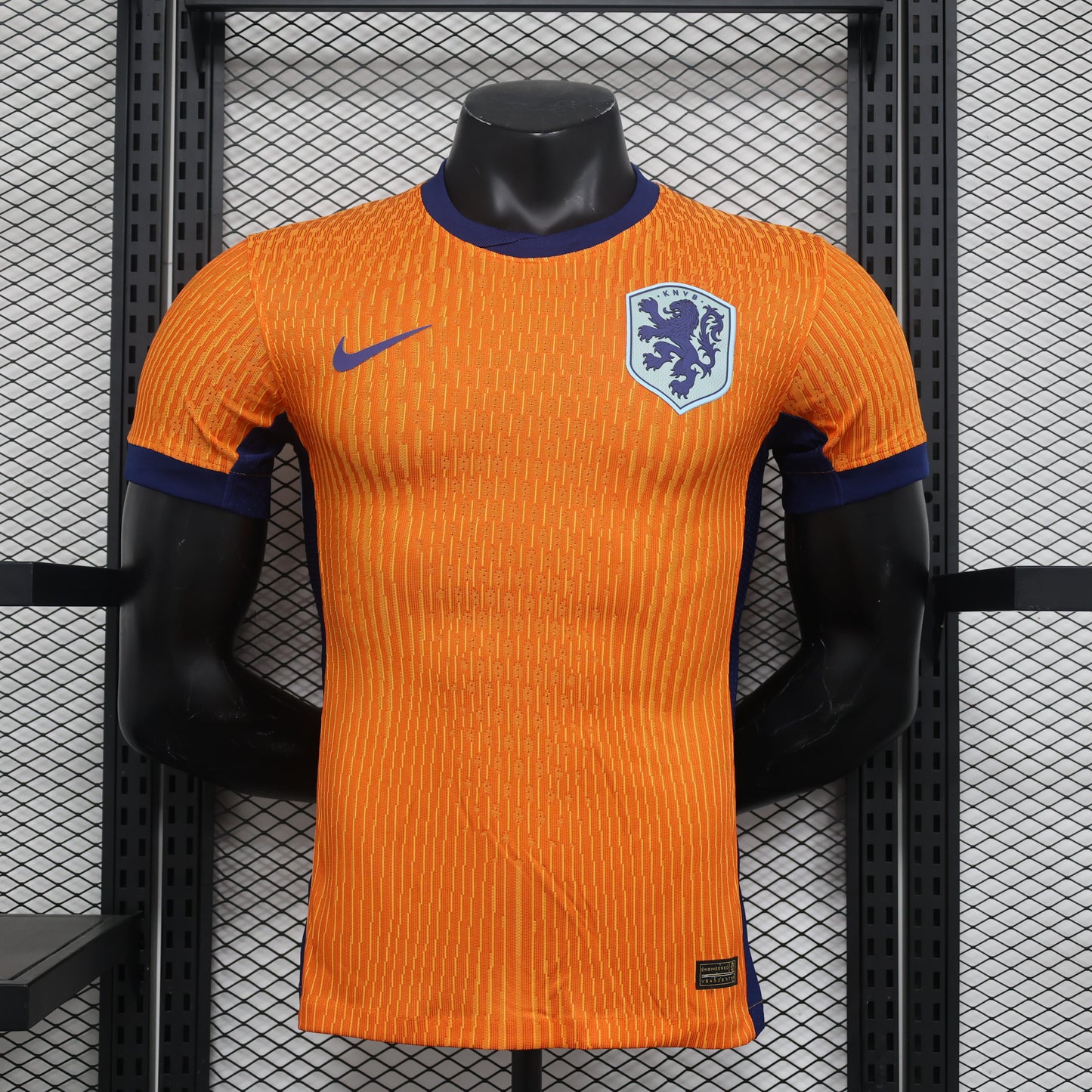 Países Bajos (Holanda) 2024/2025