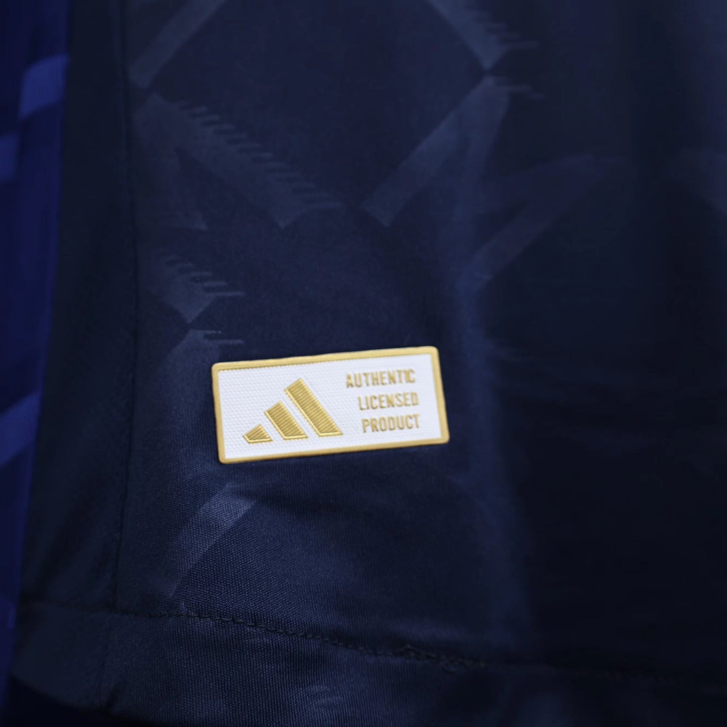 Camiseta Manchester United 2024-2025 Alterna (Azul)