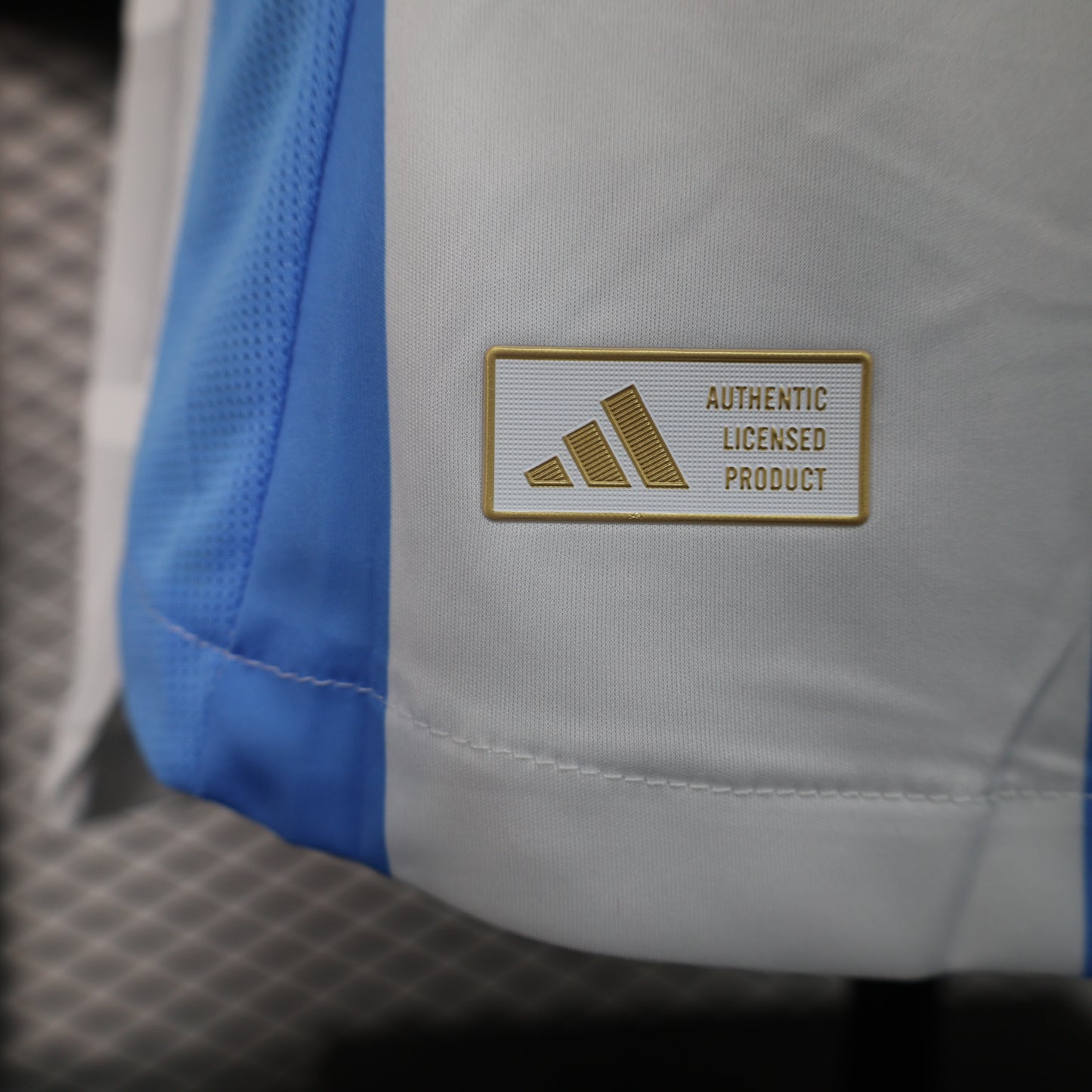 Argentina 2024/2025