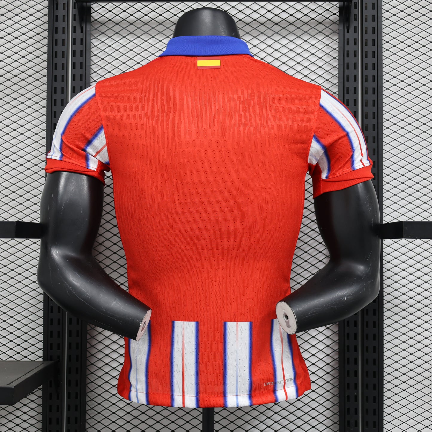 Atlético de Madrid 2024-2025