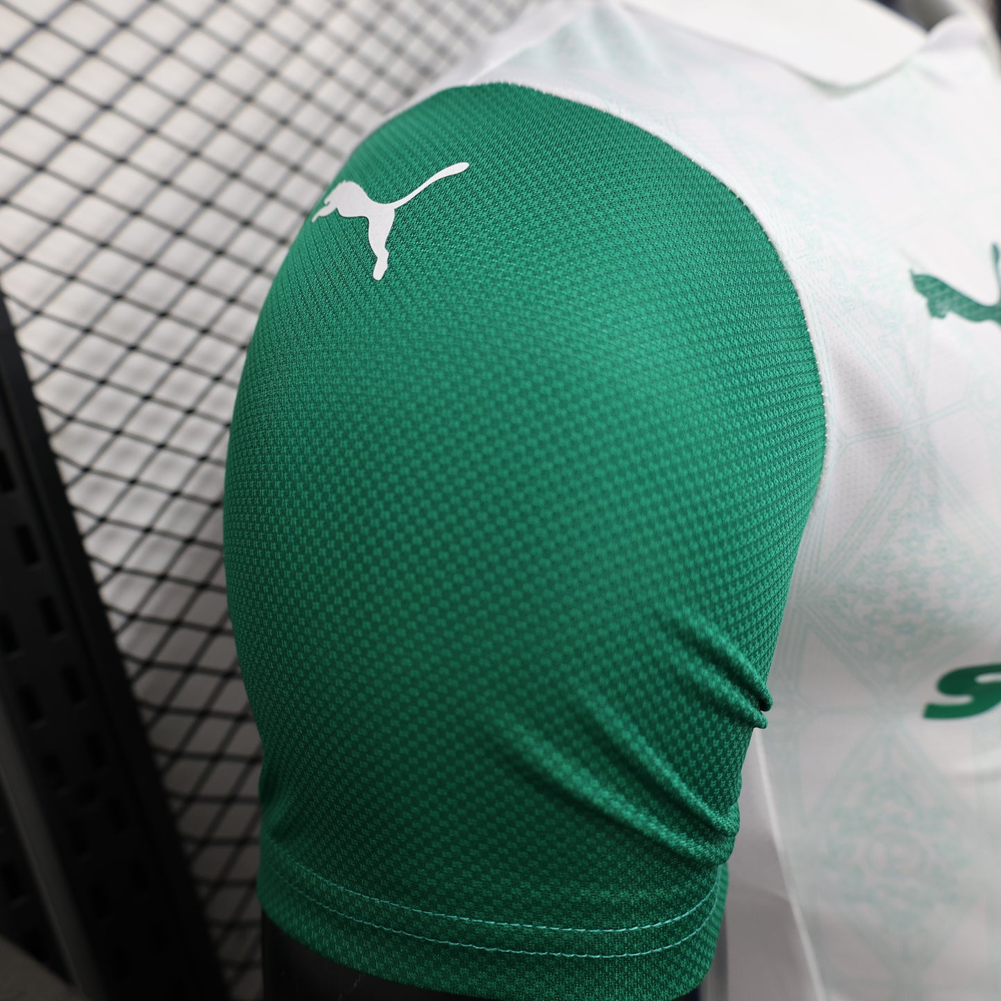 Palmeiras 2024/25  (visitante)