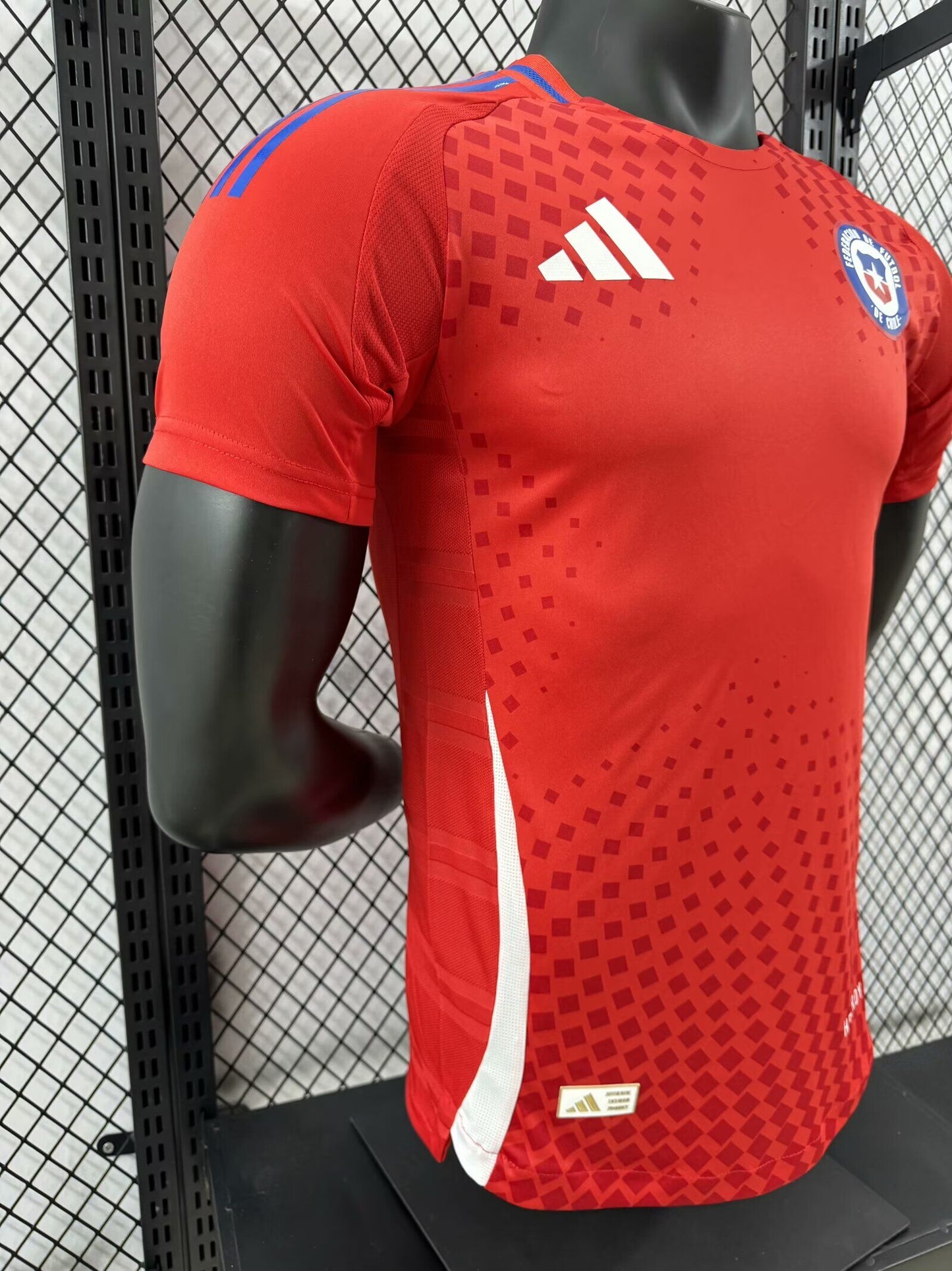 Chile 2024-2025