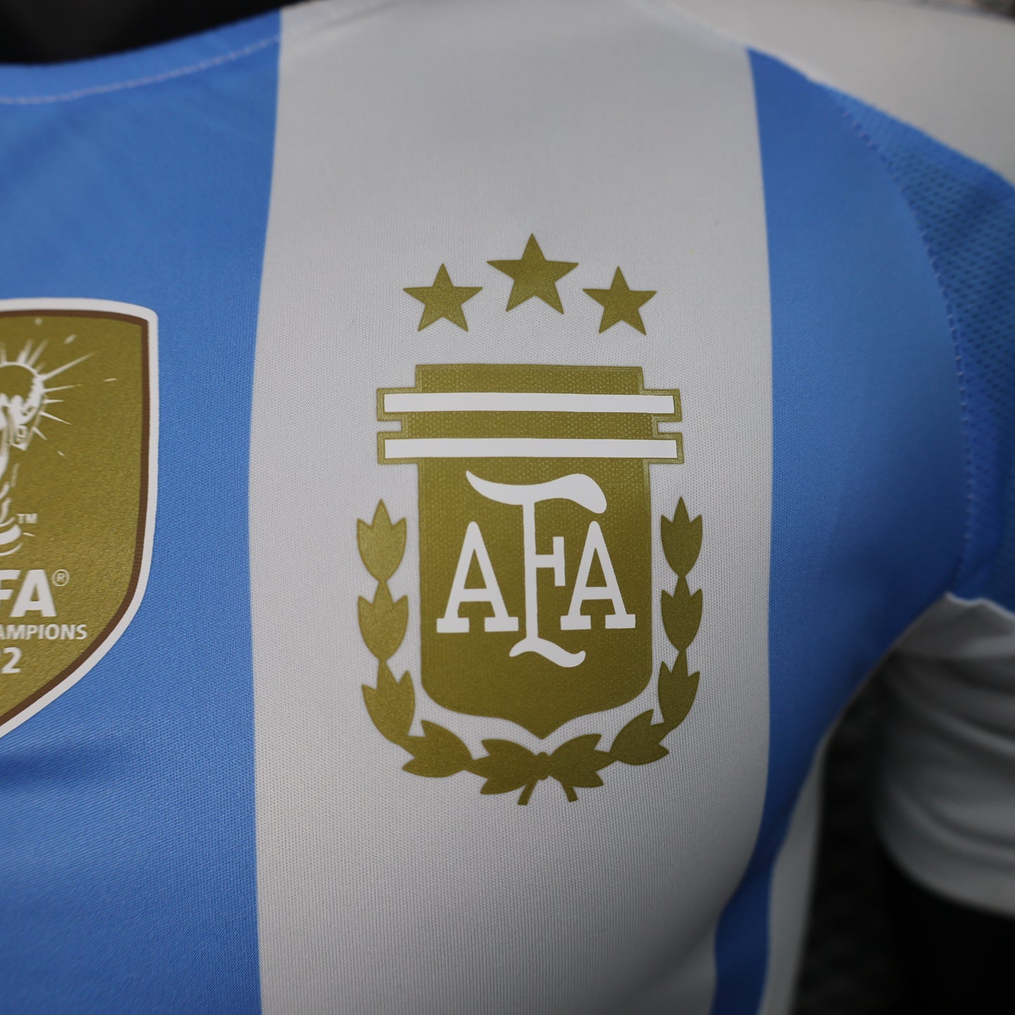 Argentina 2024/2025