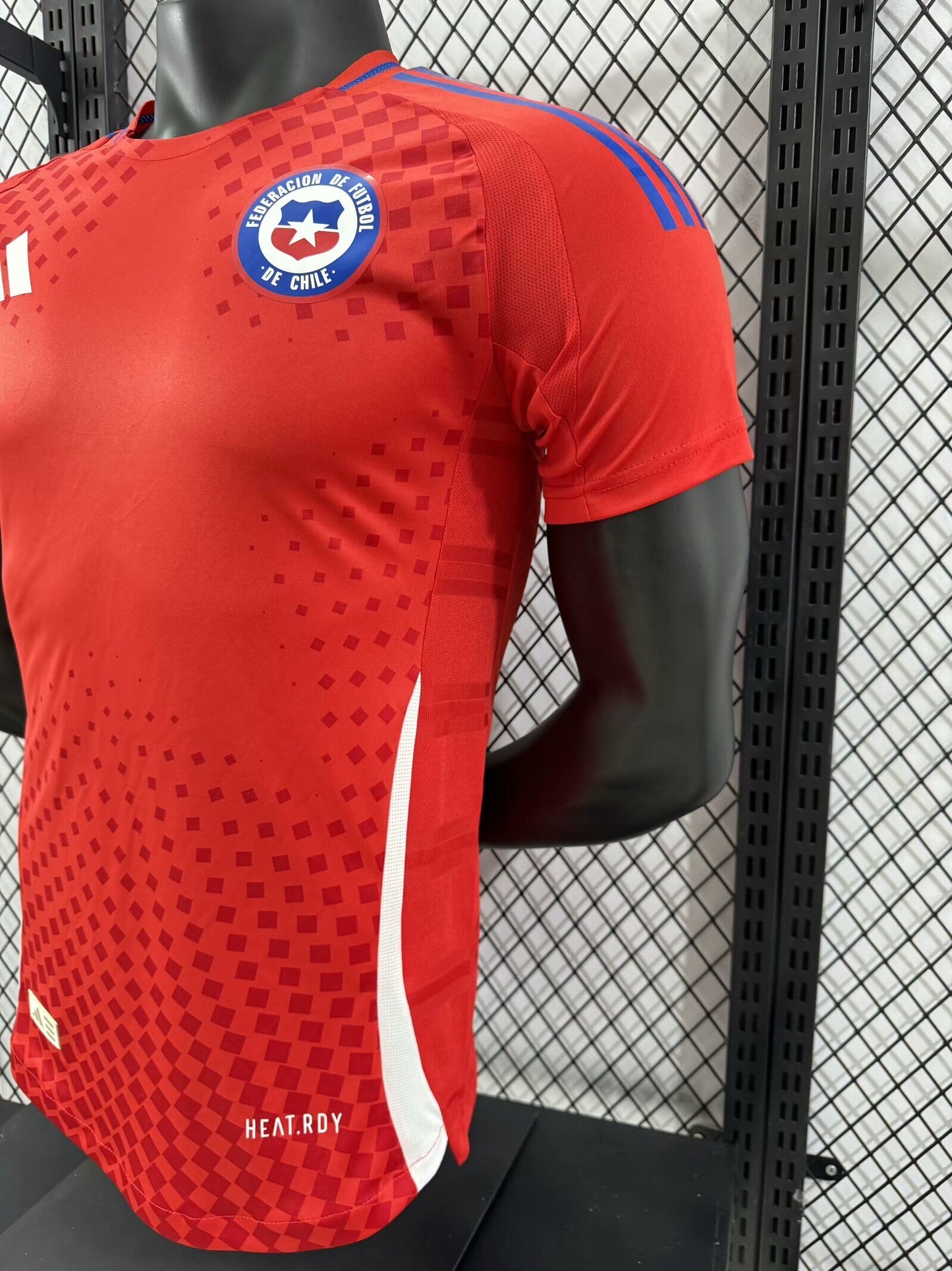 Chile 2024-2025