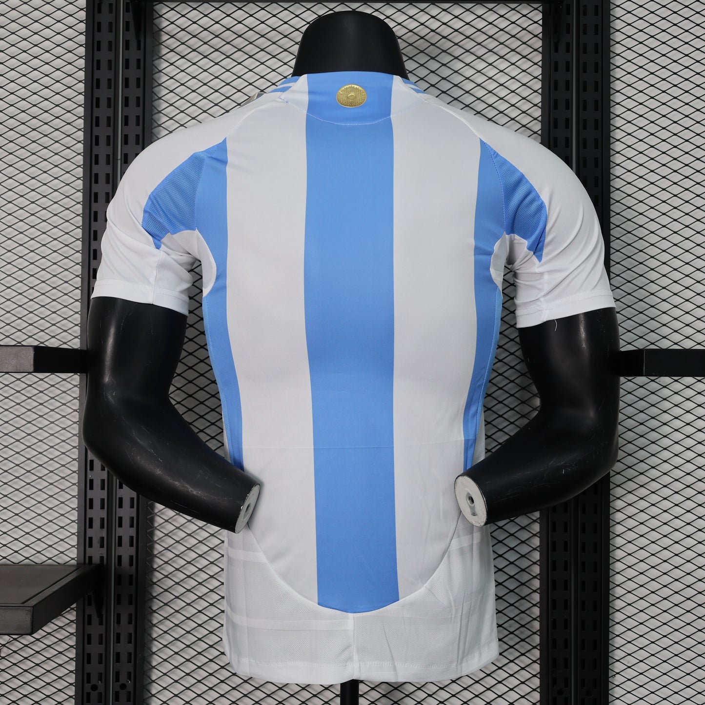 Argentina 2024/2025