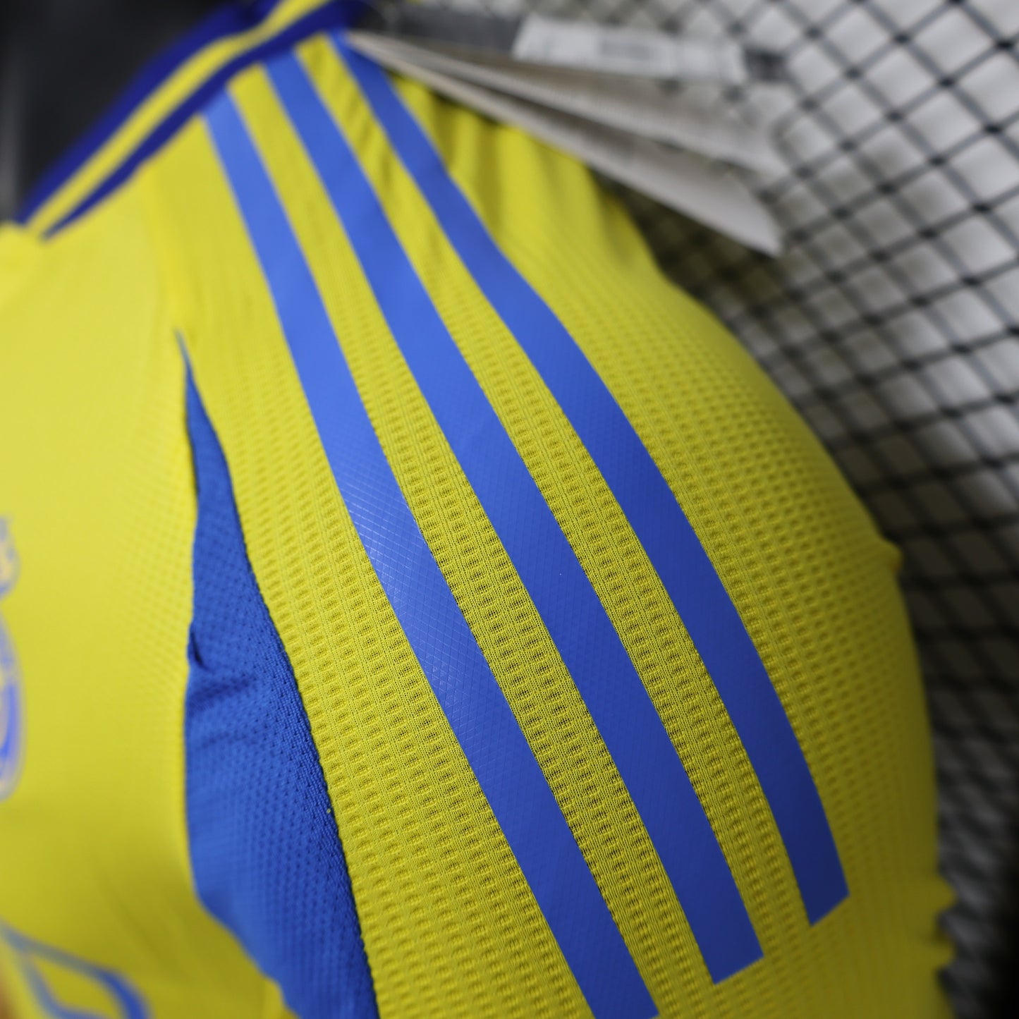 Al-Nassr FC 2024/2025