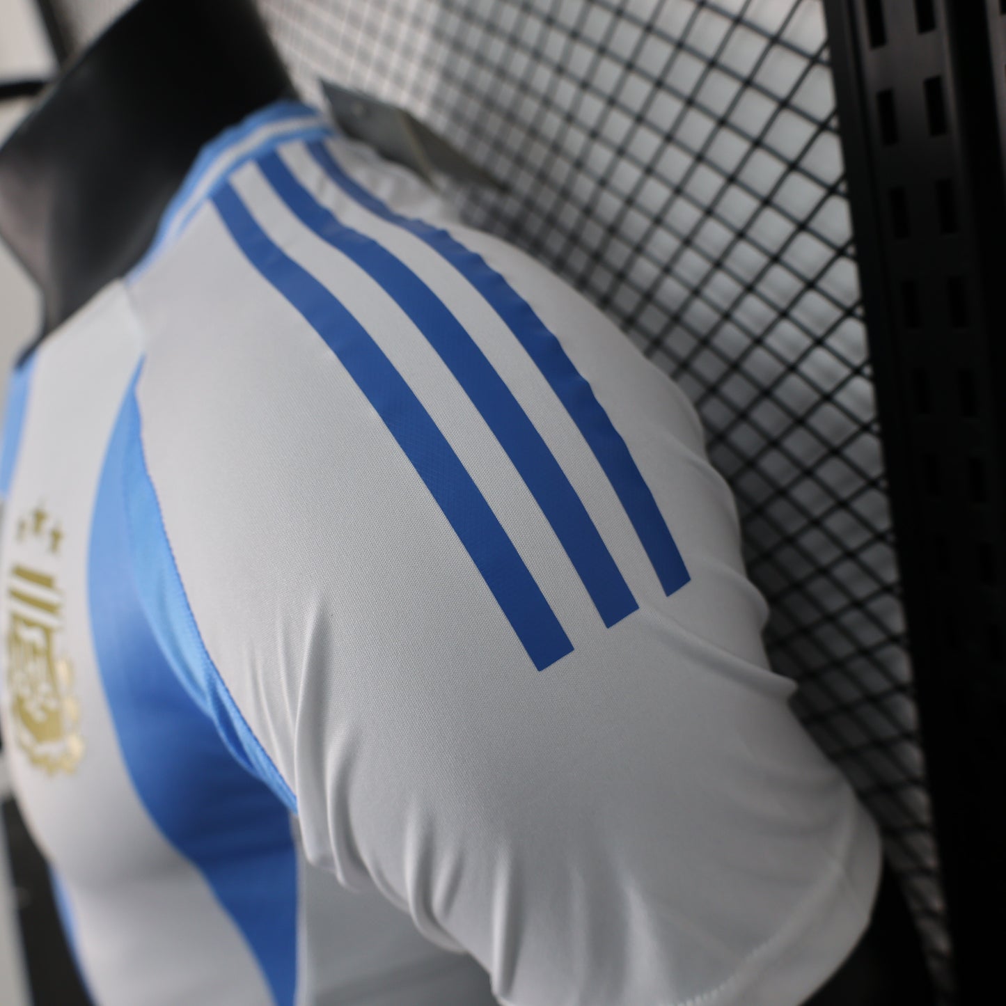 Argentina 2024/2025