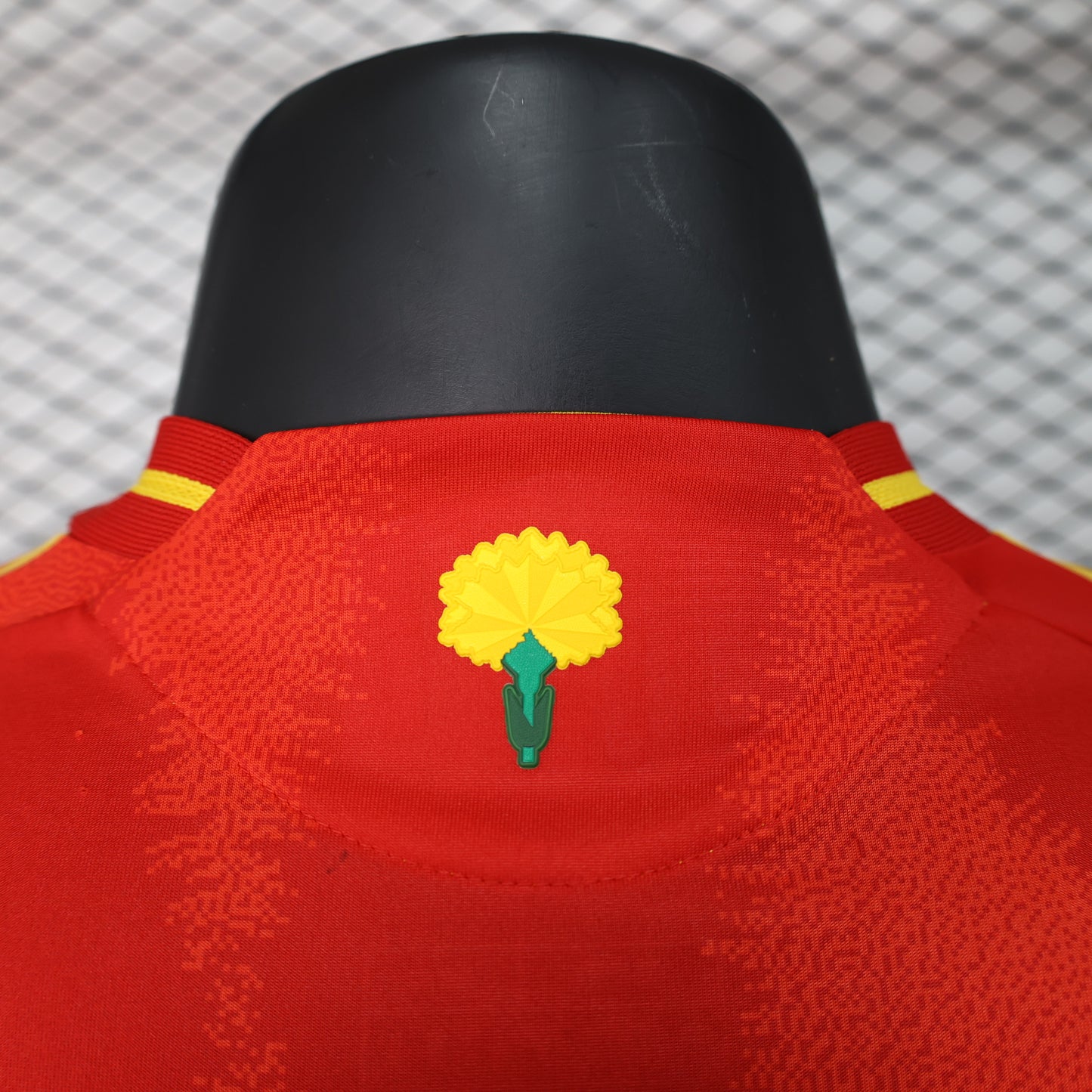 España 2024 - 2025