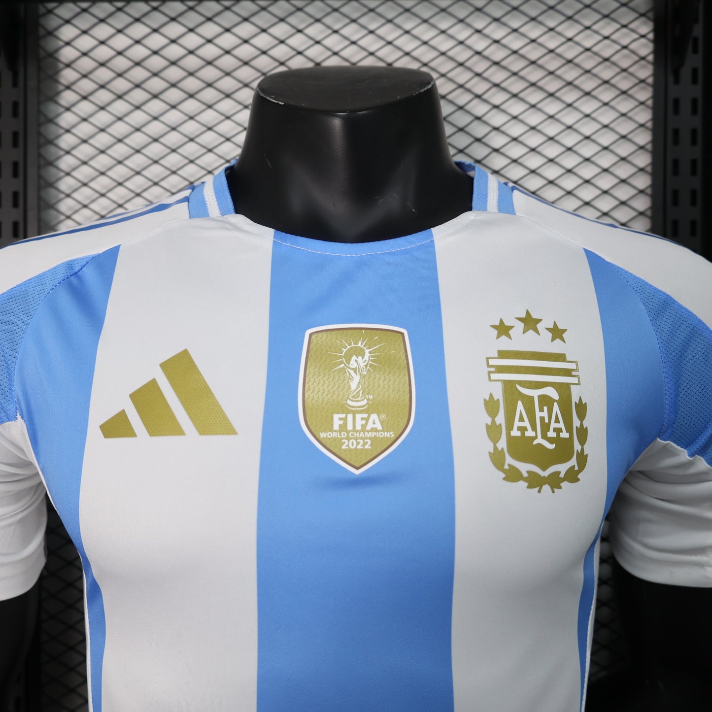 Argentina 2024/2025