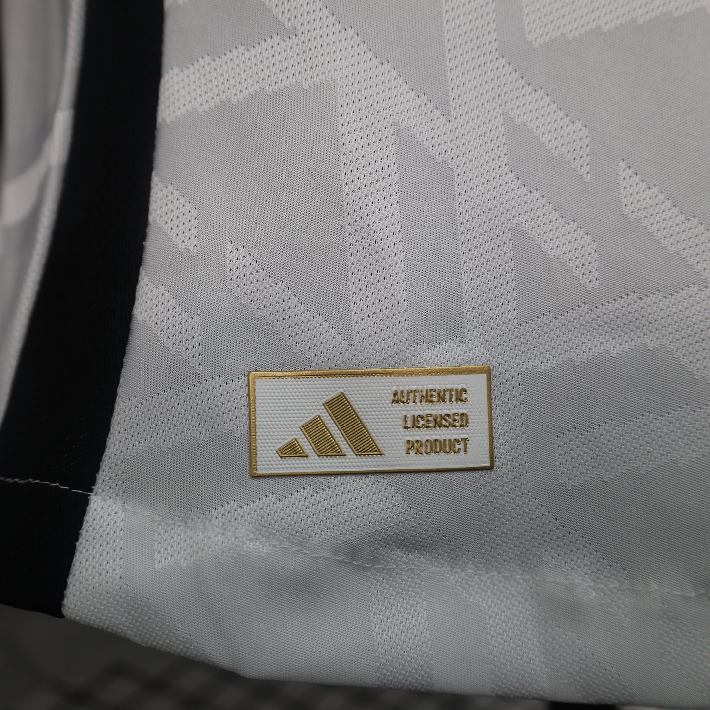 Camiseta Alemania 2024 - 2025