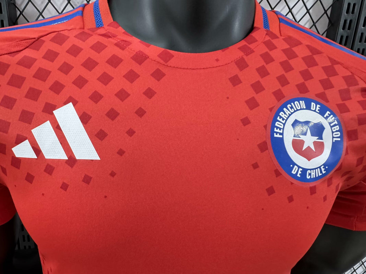 Chile 2024-2025