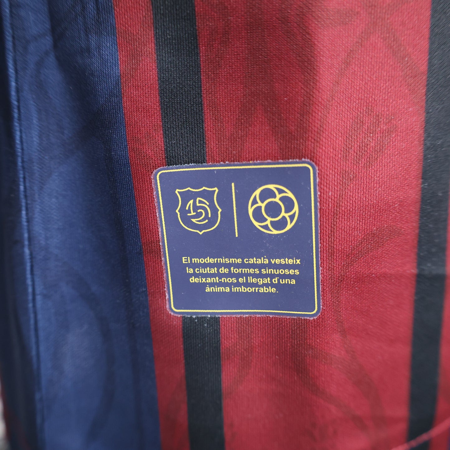 FC Barcelona 2025 (Edición Especial)