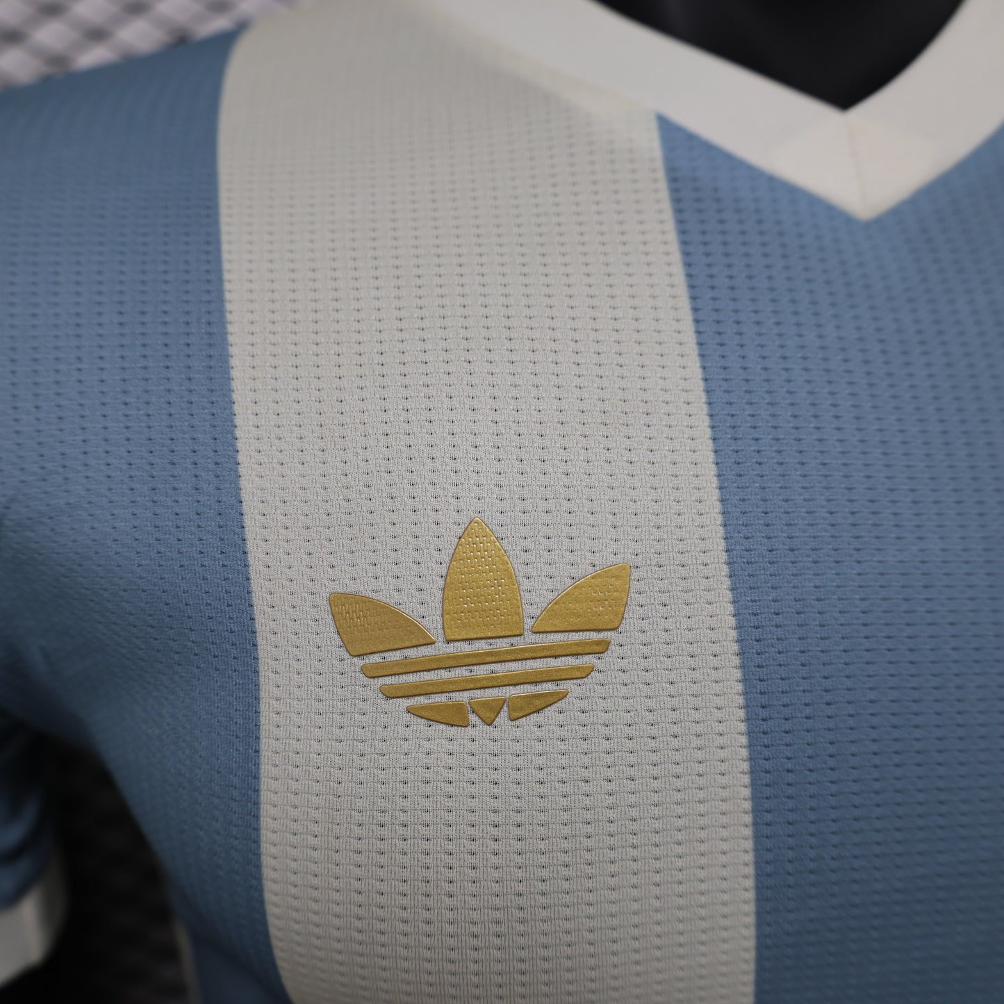 Argentina 2025 (edición Especial)